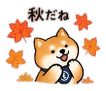 紅葉ともんちゃん