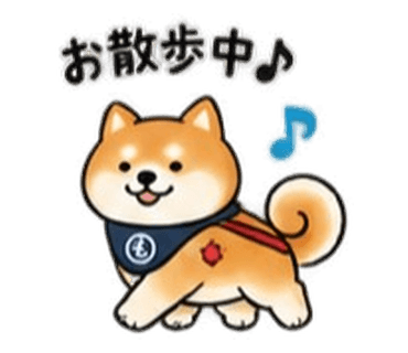 前掛けをつけて元気に散歩する柴犬のもんちゃん